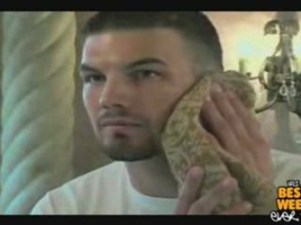 ICYMI - The Goatee Shaver