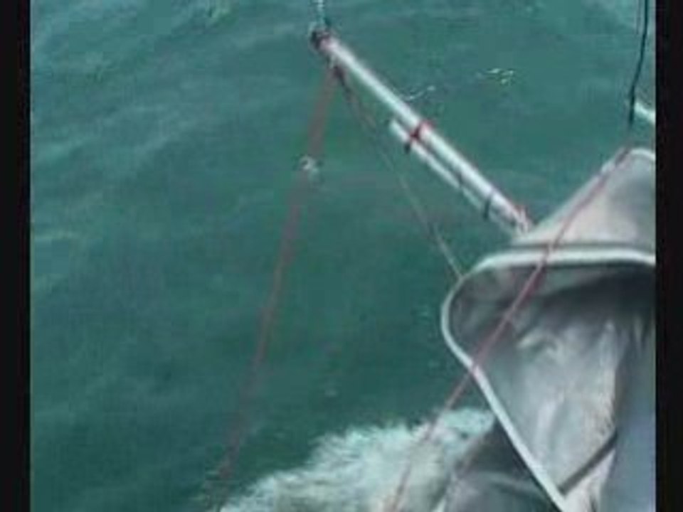 Fastnet1