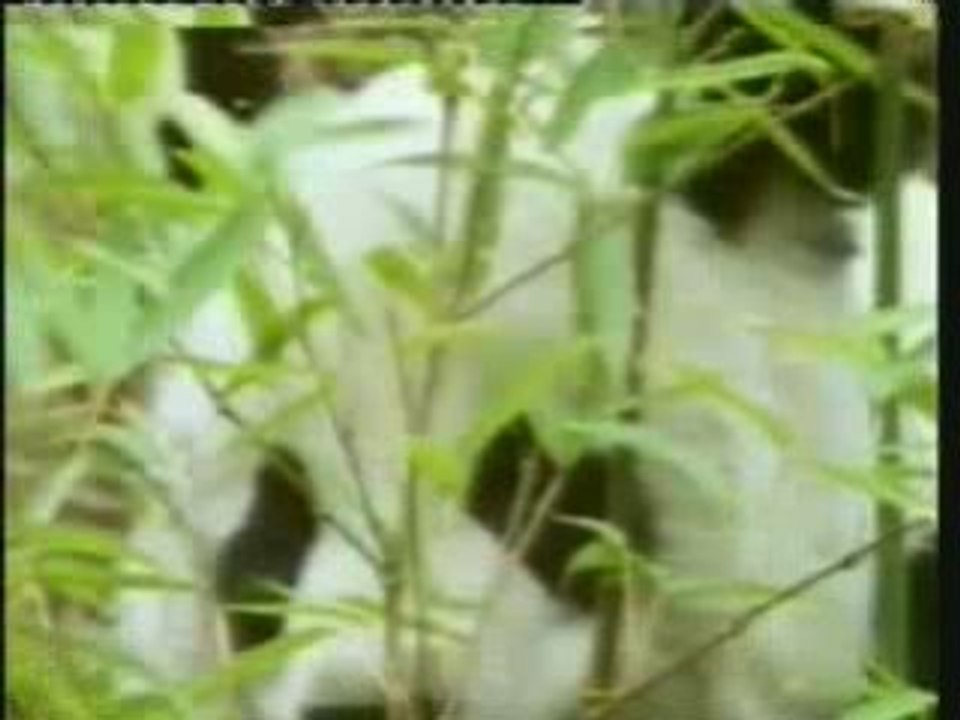 La Chute Du Darwinisme (Harun Yahya) - Partie 2