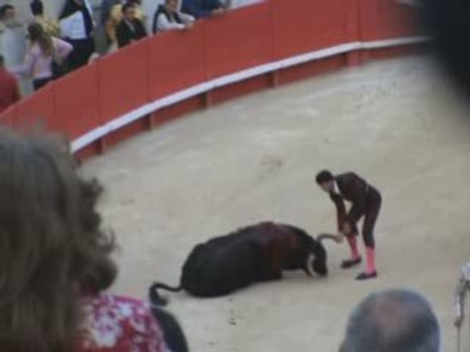 La corrida | Franky Joé Texier | Animation Music | guitare
