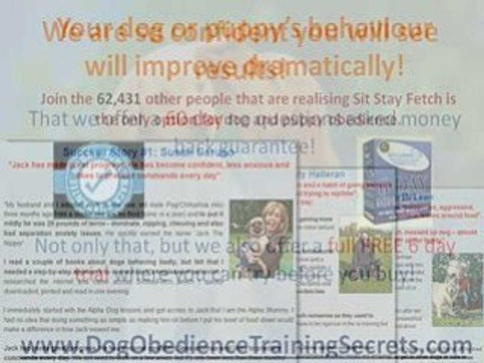 Puppy Potty Train