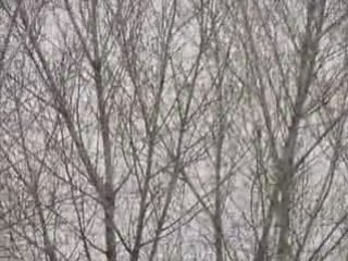 Agen tempête Pont-Canal Garonne 24 janv. 09, 15h22