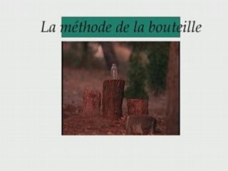 Mystères à Twin Peaks