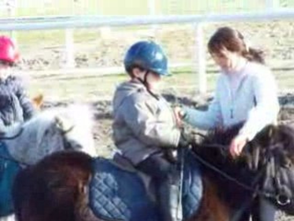 Theo poney 28 janvier 2009