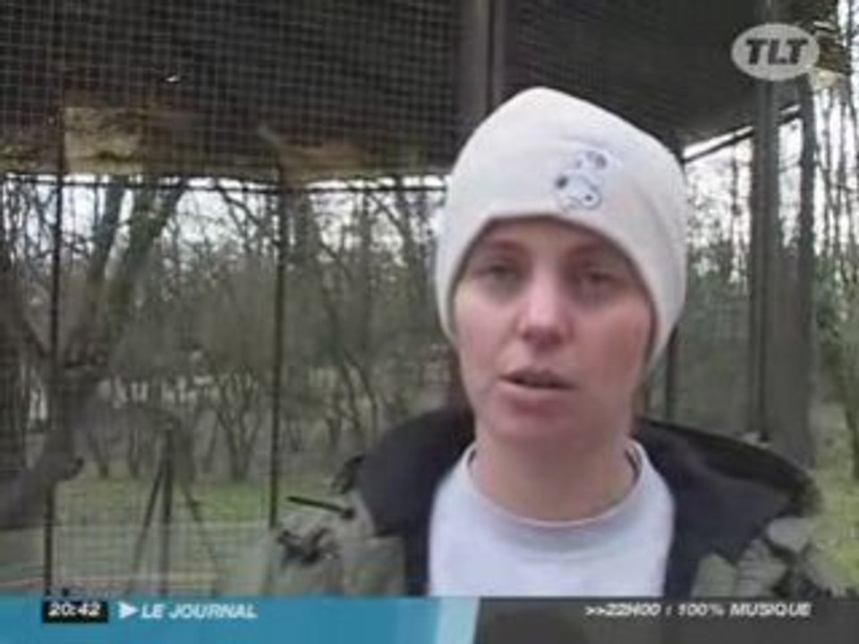 Tempête : Des dégâts au zoo de Plaisance du Touch