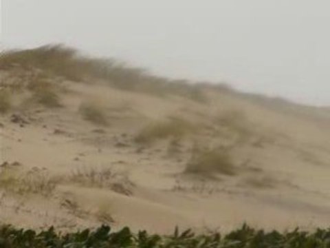 Tempête de sable Biscarrosse Landes Tempête Klaus