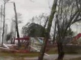 catamarans accrochés aux arbres Tempête Klaus