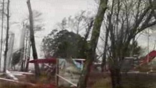 catamarans accrochés aux arbres Tempête Klaus