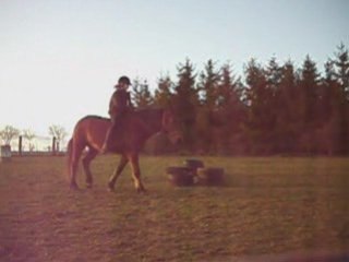 Le 25 Janvier - Hanches en dedans au licol