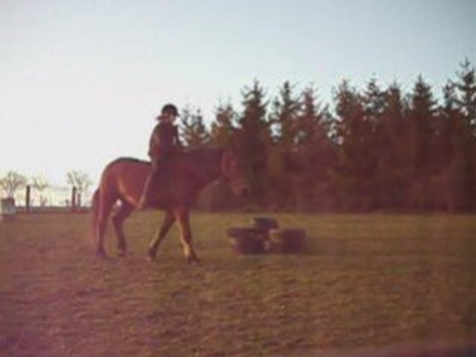 Le 25 Janvier - Hanches en dedans au licol