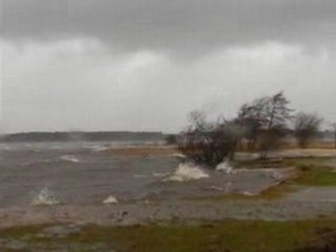 Lac Sanguinet Biscarrosse Landes 10H.Tempête Klaus 170 km/h