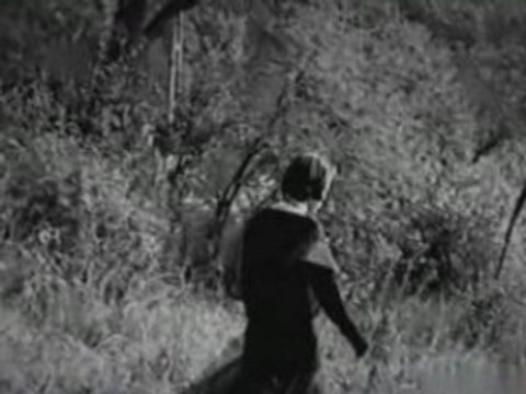 Nazan Oncel -Seni Bugun Gormem Lazim