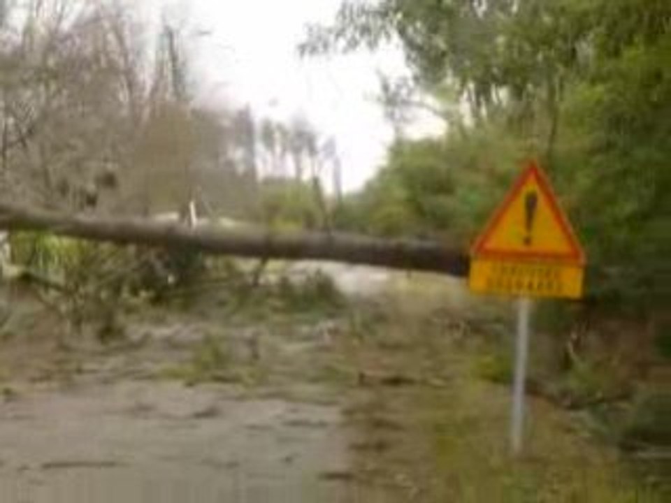 "Chaussée dégradée"  Tempête Klaus Landes Lac de Sanguinet