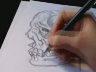 Skull Speed Drawing