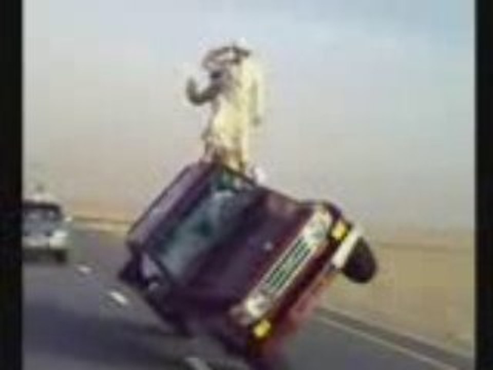 4X4 = 2  ROUES CHEZ LES ARABES!!!!!