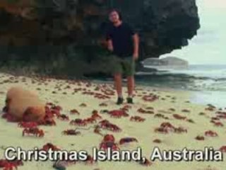 Where  the Hell is Matt?  (2008)