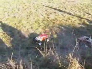 MW Freak's  2009-01-28