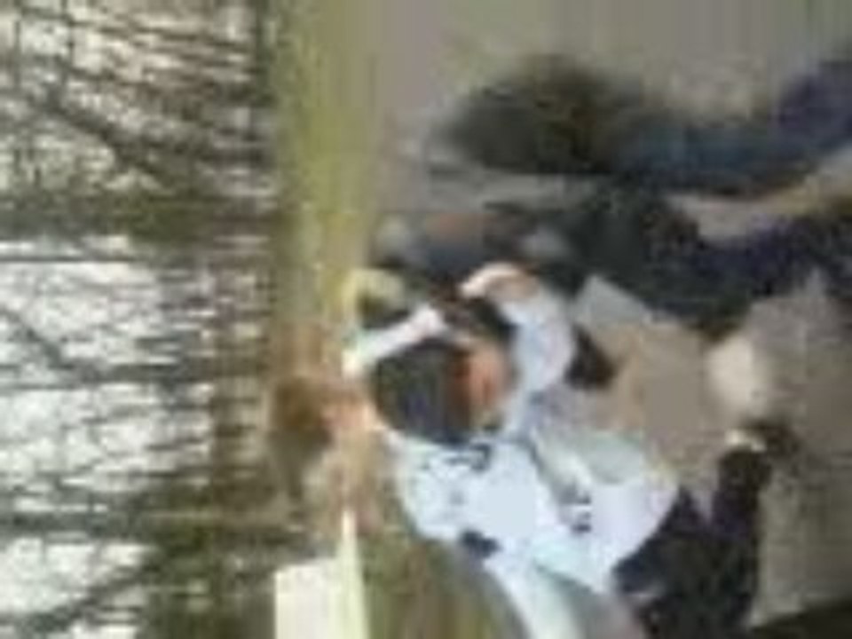 video catche 3