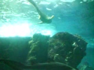 vive la mer 2