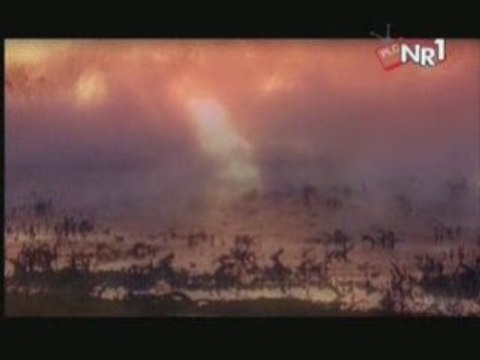 Melike Demirag - Duyun Beni -YENI