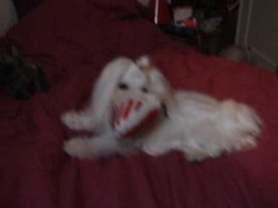 Cookie 280109 3