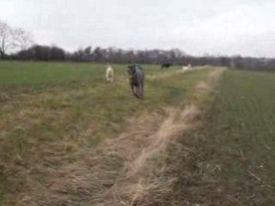 Ballade avec les copains