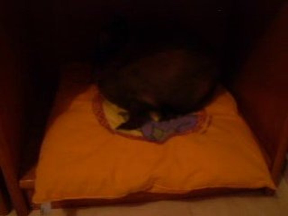 Moi et mon coussin