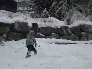 Freestyle ski Bastien