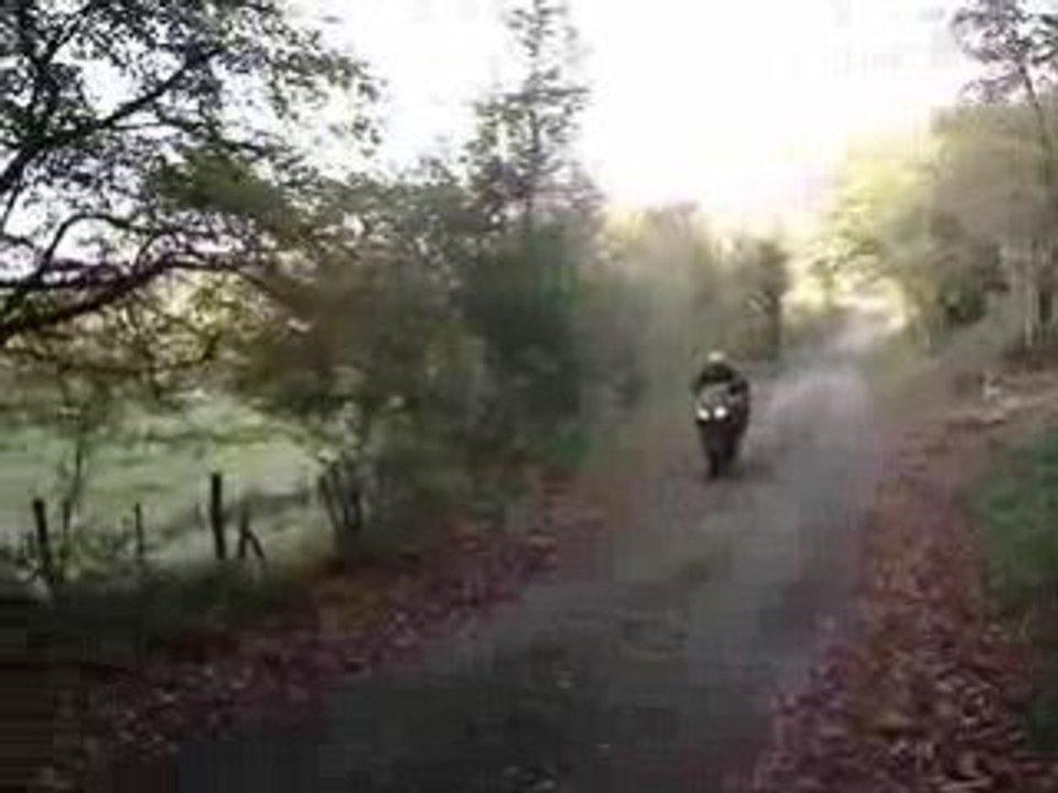 Tzr avec pot yasuni et boite a air prépa