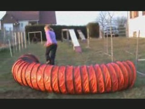 Agility Chips & Elodie