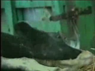 La vérité sur votre alimentation