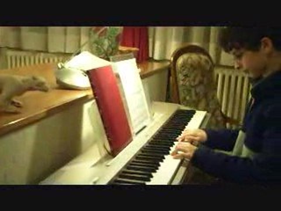 Leichte Sonate de Beethoven - Piano