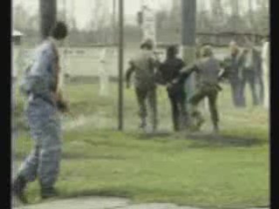 Вошли в столб