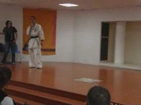 Démonstrations D'Arts Martiaux - Japan Escape 2009