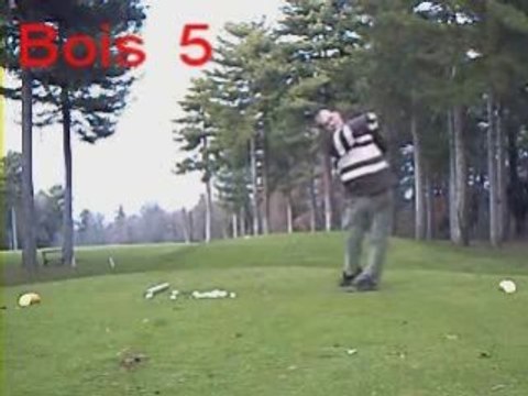 Le swing de Pattenzinc Bois 5 Janv09