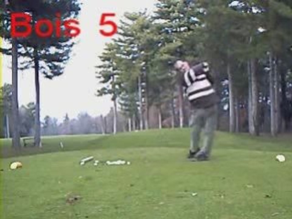 Le swing de Pattenzinc Bois 5 Janv09