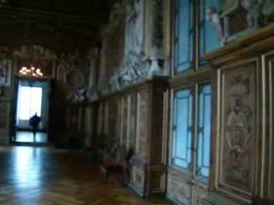 Chateau de Fontainebleau 202