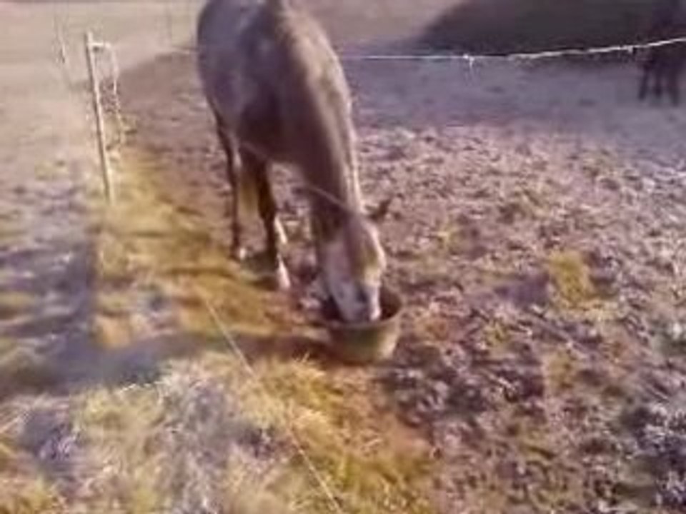 Vidéo-0001