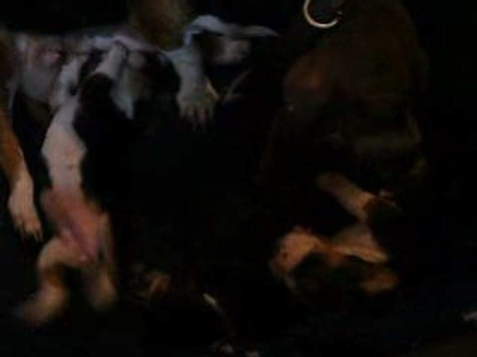 DSCF0284