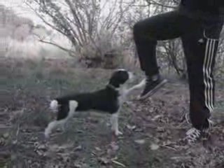 Choupa - au naturel (OBR )