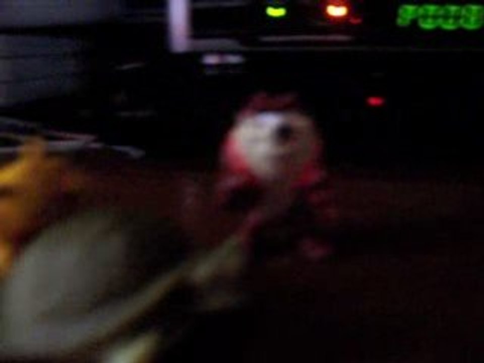 pokemon donjon mystere ep 33 : La tortue et Taz