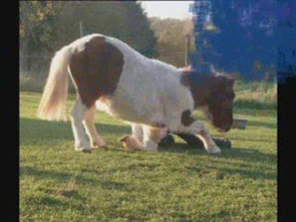 nougatine <3<3