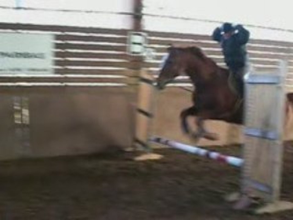 Gadriane 28 janvier 2009