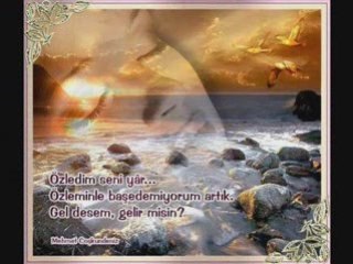 Tek Seni Sevdim Aşkım