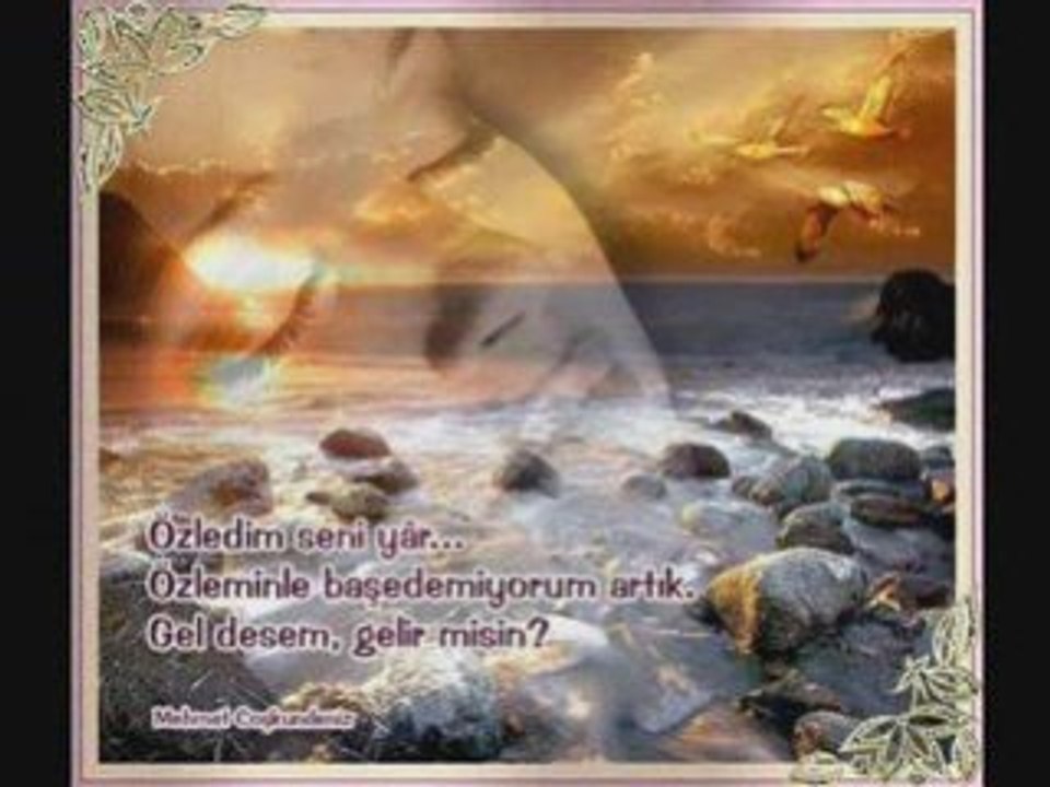 Tek Seni Sevdim Aşkım