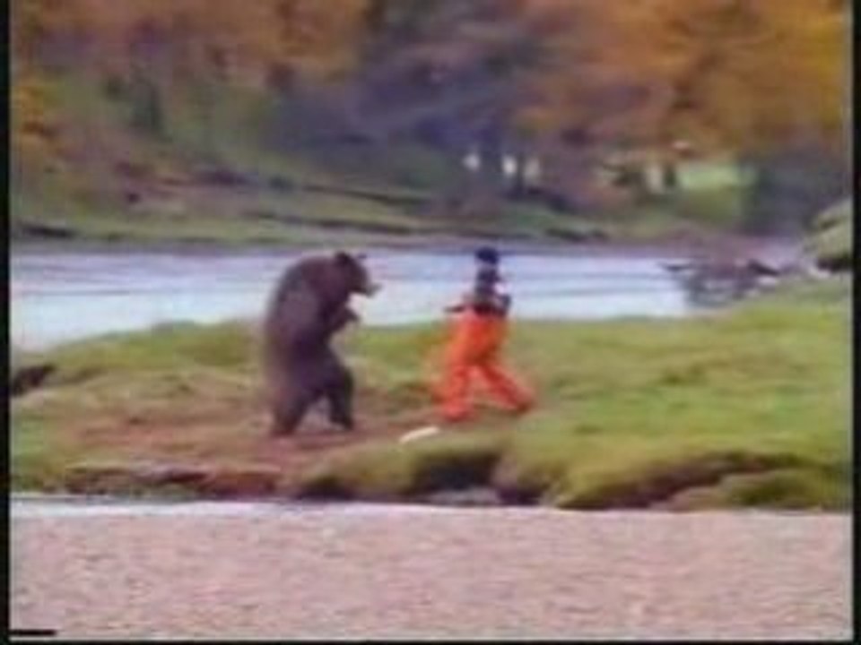 humour pub (l'ours contre l'homme )