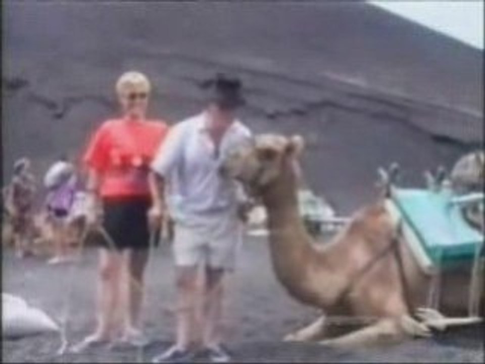 ズッコケ集