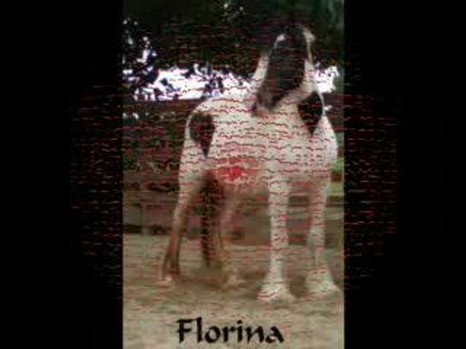 Mu et Flo