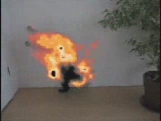 How To Make Your Cat Dance On Fire Using A Laser Pointer