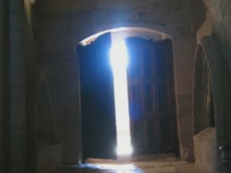Luz